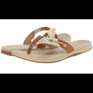 Sperry topside sandal.